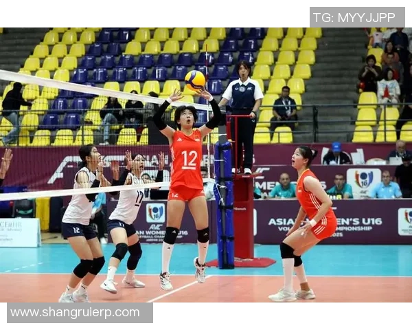 排球焦点：杭州排球队的速度探讨