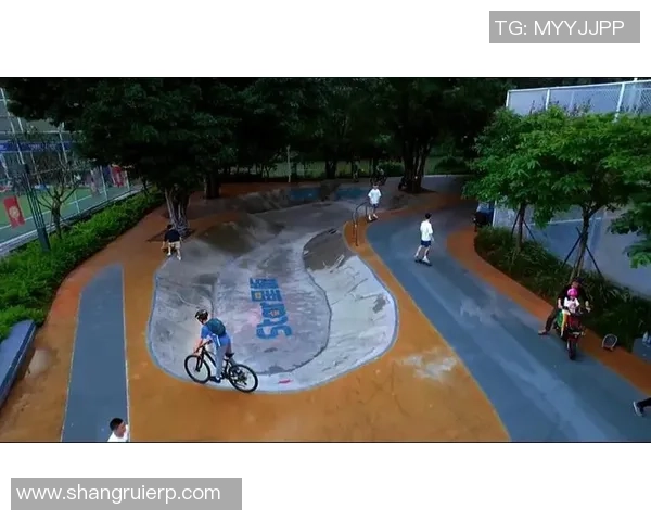 从零开始：滑板状态完全攻略